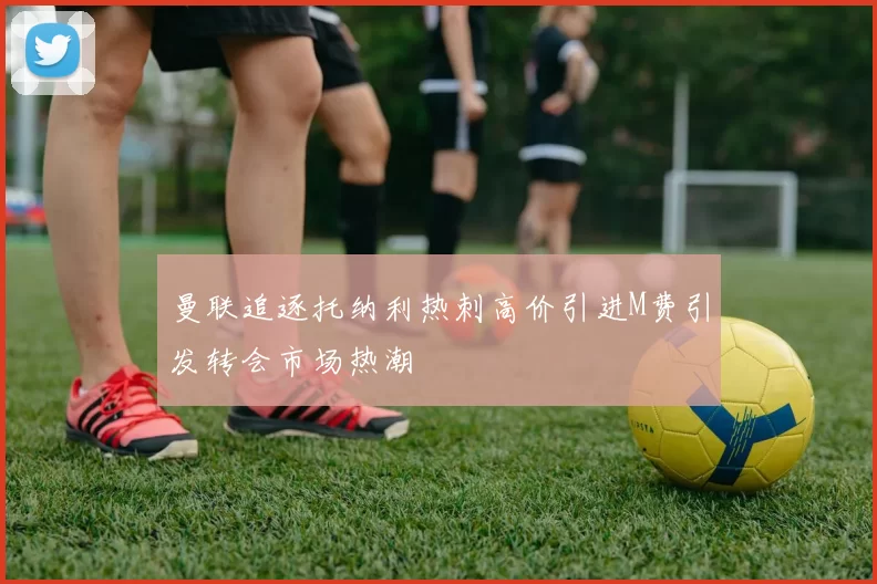 曼联追逐托纳利热刺高价引进M费引发转会市场热潮
